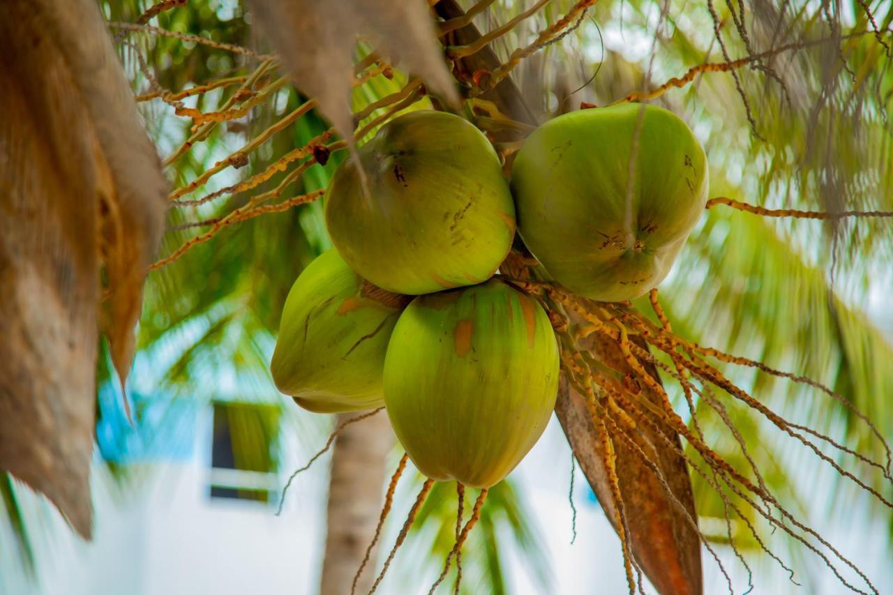 بواني ماكهانجاني Pwani Beach Boutique Hotel Zanzibar المظهر الخارجي الصورة